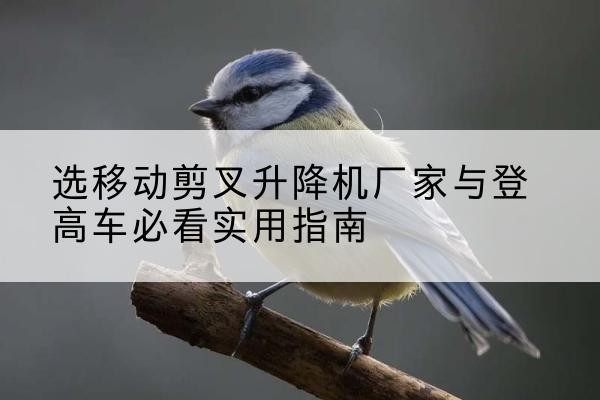 阿合奇电动升降机厂家-选移动剪叉升降机厂家与登高车必看实用指南