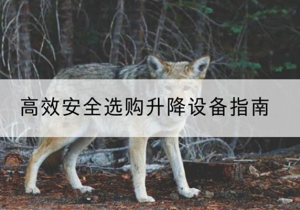 阿合奇升降货梯厂家推荐-*安全选购升降设备指南