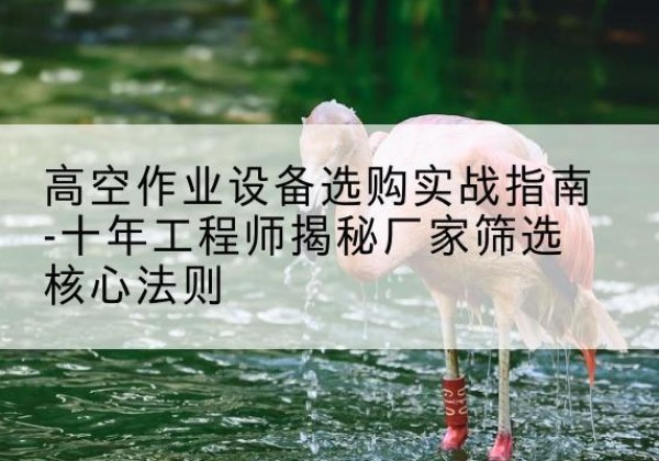 阿合奇剪叉式升降机厂家-高空作业设备选购实战指南-十年工程师揭秘厂家筛选核心法则